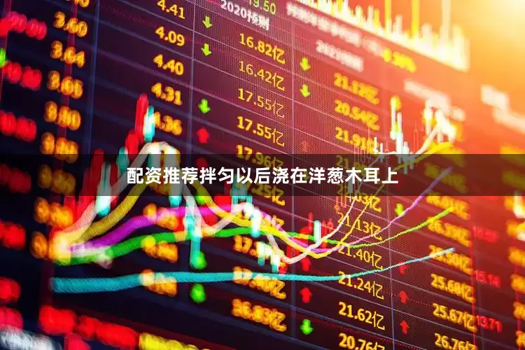配资推荐拌匀以后浇在洋葱木耳上