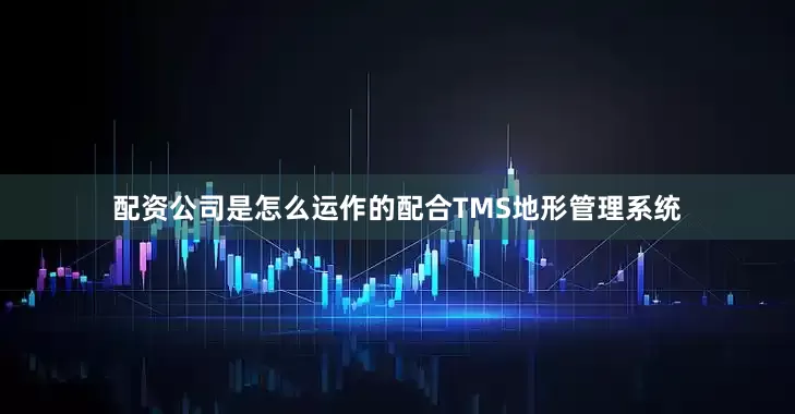 配资公司是怎么运作的配合TMS地形管理系统